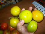 IMGP3730.JPG