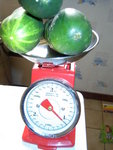 des concombre a profusion