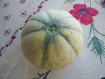 superbe ce melon