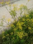 2011-08-22 15.53.47.jpg
