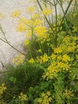 2011-08-22 15.53.55.jpg