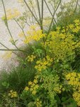 2011-08-22 15.54.12.jpg