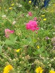 2011-08-22 16.11.54.jpg