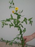 2011-08-22 15.39.42.jpg