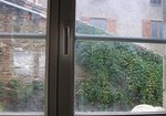 Voici la Clématite avant sa fameuse grosse taille de l'hiver dernier.