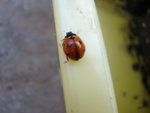 DSC02177.JPG