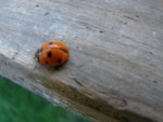 DSC02191.JPG