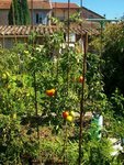 Photode  bagé 005.jpg