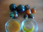 Photode  bagé 009.jpg