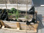 Moi j'ai fait des bacs avec des palettes et je les ai mis sur ma toiture terrasse
