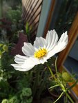 DSC00448.jpg