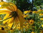 DSC00462.jpg