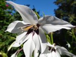 DSC00588.jpg