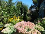 DSC00591.jpg