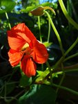 DSC00593.jpg
