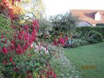 2011-08-29 promenade florale5x.jpg