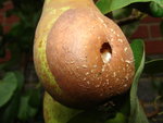 DSC02242.JPG