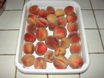 DSC02250.JPG