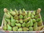 DSC02255.JPG