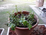 P1010191.JPG