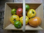 tomates.JPG