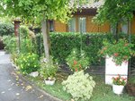 CIMG08974.JPG