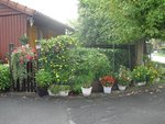 CIMG08945.JPG