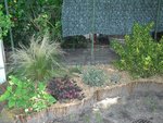 CIMG08677.JPG