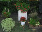 CIMG08691.JPG