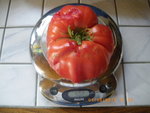 jardin le 01-07-2011 005.jpg