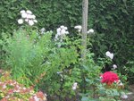 2011-09-03 2x.jpg