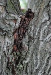DSC_0017.JPG