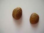 DSCN4356.JPG