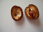 DSCN4357.JPG