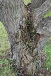 DSC_0018.JPG