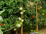 A droite Marmande
