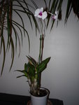 P1010200.JPG