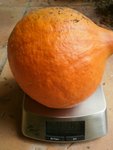 potimarron.JPG
