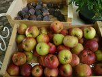 melrose et figues.jpg