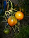 Photo 008.jpg