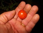 Photo 016.jpg
