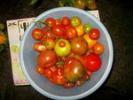 Photo 017.jpg