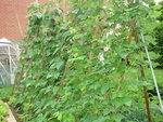 DSC01366.JPG