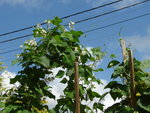 DSC01367.JPG