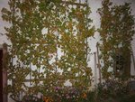 100_0652.JPG