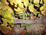 100_0653.JPG