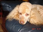 DSC01741.JPG