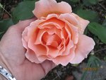 2011-09-09 2x.jpg