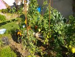 Photo 019.jpg