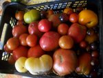 Photode  bagé 065.jpg